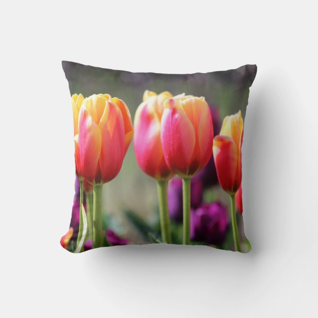 Falln Tulips Aflame Cushion (Front)