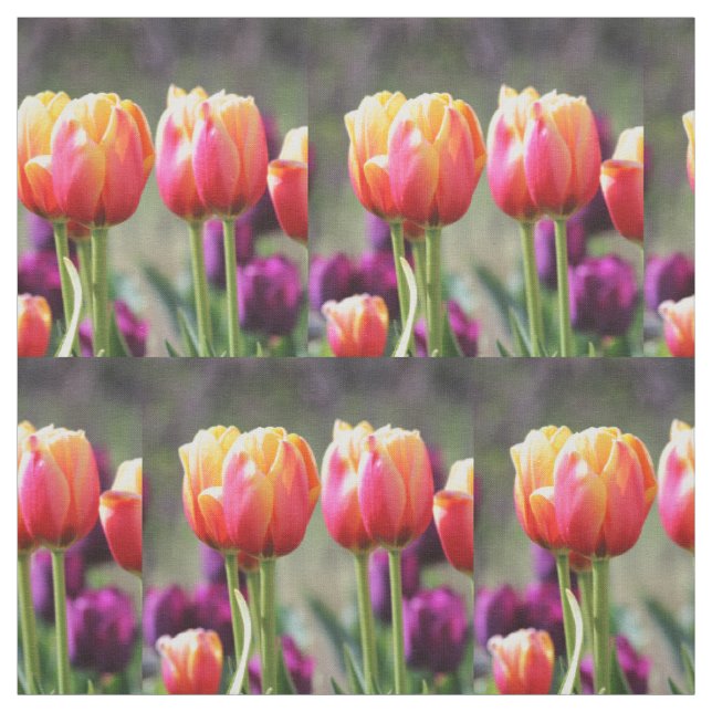 Falln Tulips Aflame Fabric (Swatch)