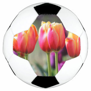 Falln Tulips Aflame Football
