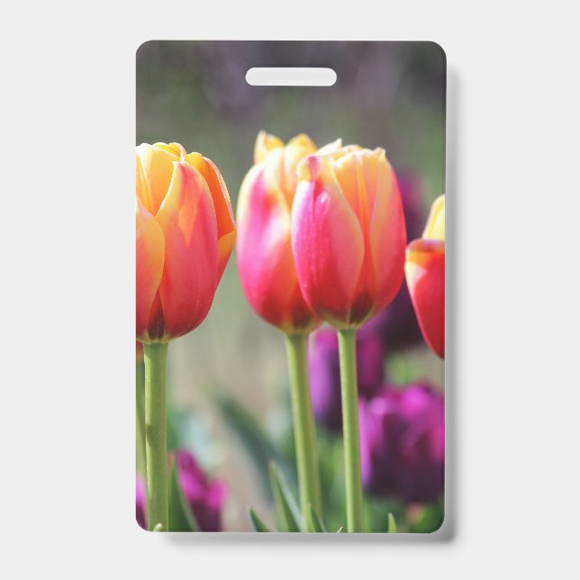 Falln Tulips Aflame ID Badge (Front)