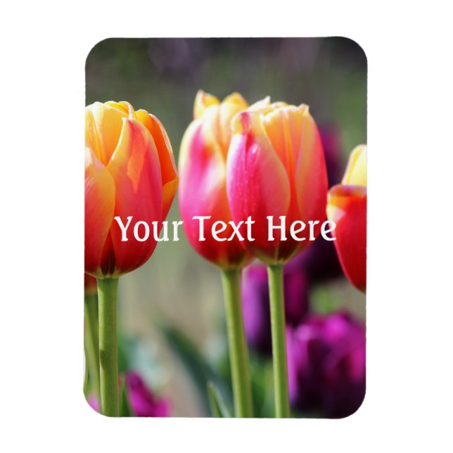 Falln Tulips Aflame Magnet (Vertical)