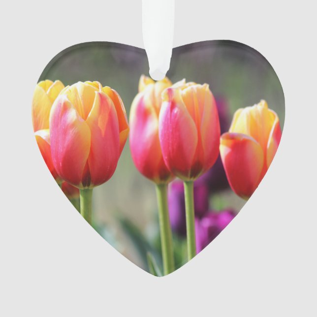 Falln Tulips Aflame Ornament (Front)