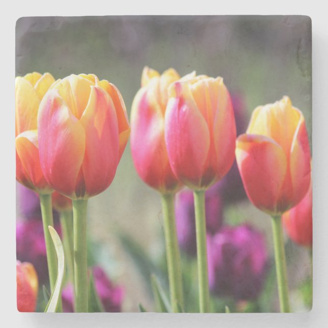 Falln Tulips Aflame Stone Coaster (Front)
