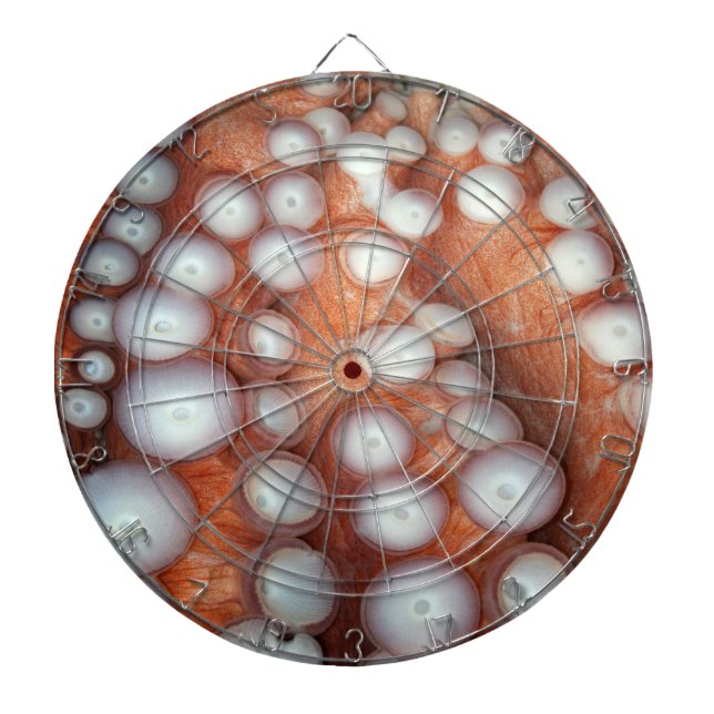 Falln Up Close Octopus Dartboard (Front)