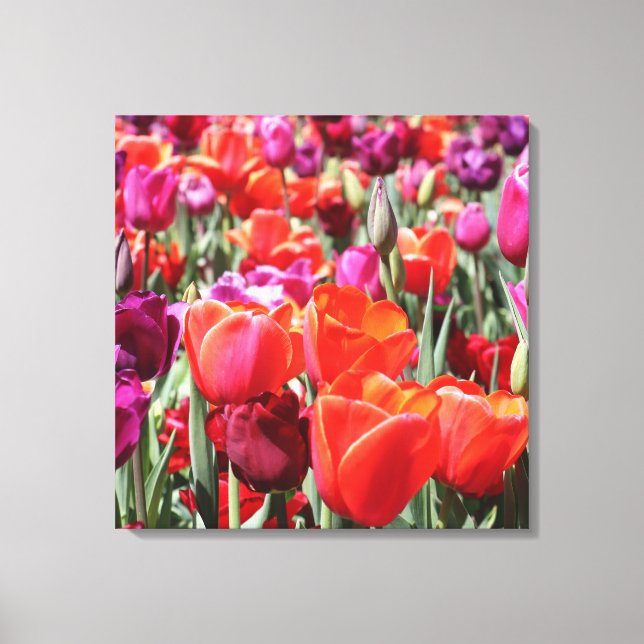 Falln Warm Tulips Canvas Print (Front)