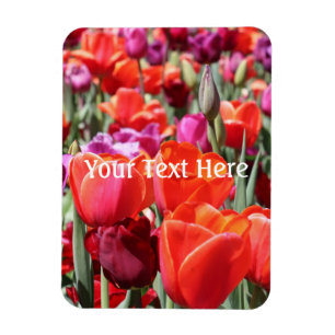 Falln Warm Tulips Magnet