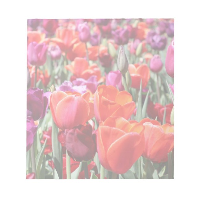 Falln Warm Tulips Notepad (Front)