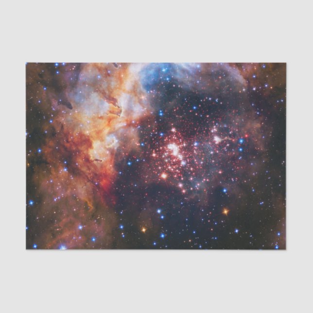 Falln Westerlund Star Field Tissue Paper (Front)
