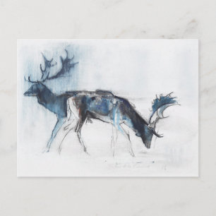 Fallow Bucks Richmond 2006 Postcard