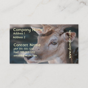 Fallow Deer Business Card