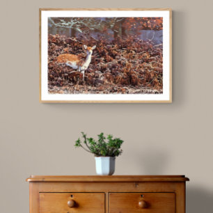 Fallow Deer in Bradgate Park Photo Print