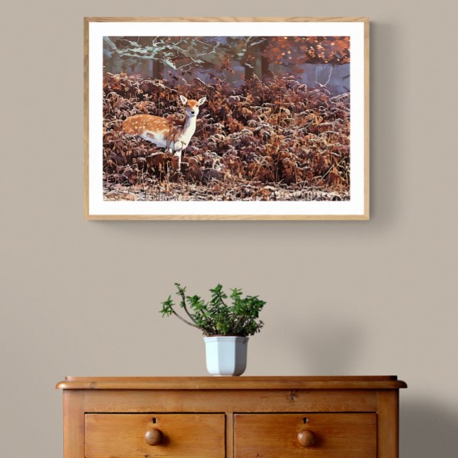 Fallow Deer in Bradgate Park Photo Print (Creator Uploaded)