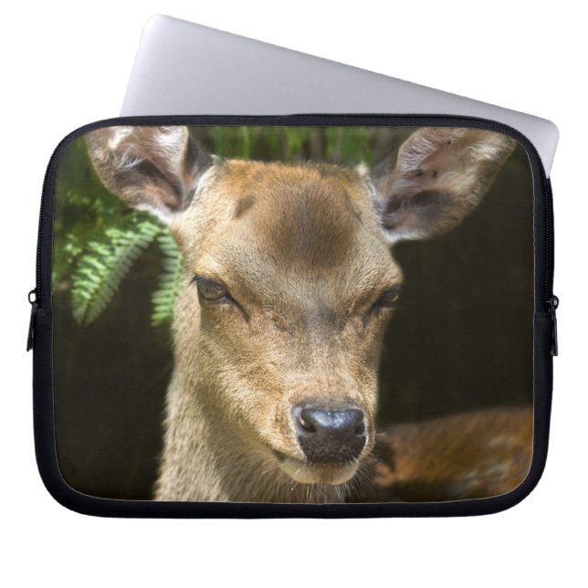 Fallow Deer Laptop Sleeve (Front)