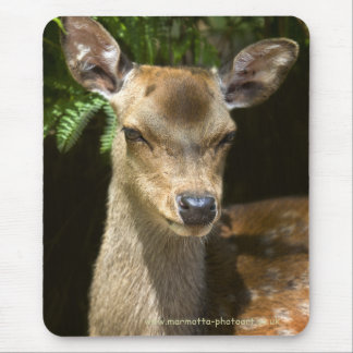Fallow Deer Mousemat