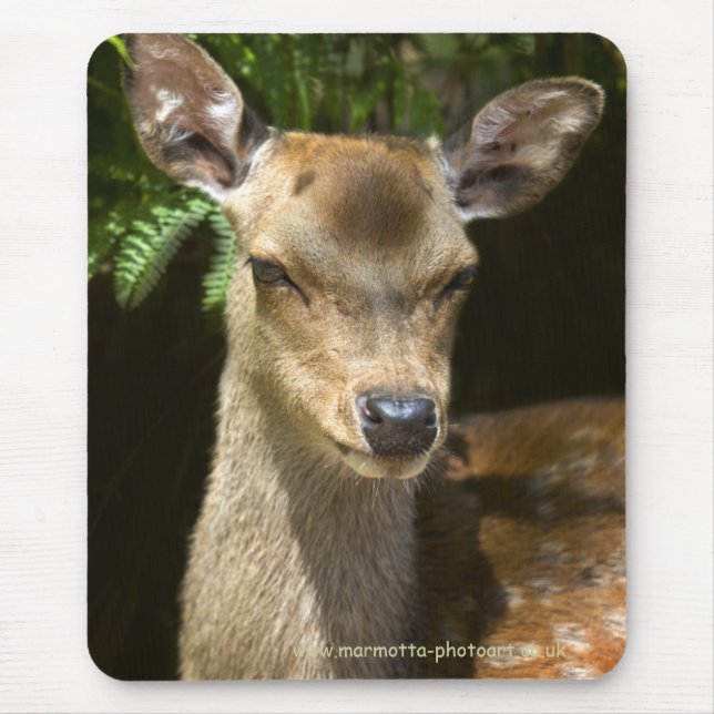 Fallow Deer Mousemat (Front)