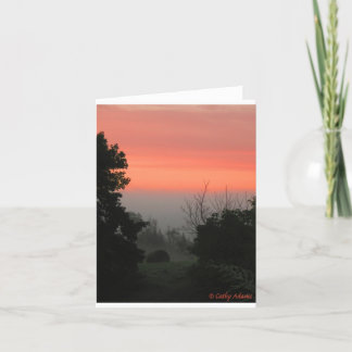 FALLS IN THE AIR CARD