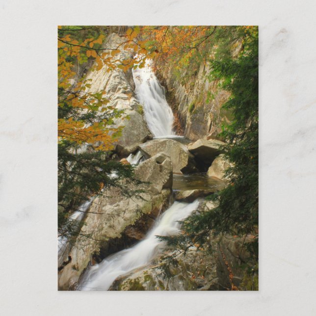 Falls of Lana Postcard (Front)