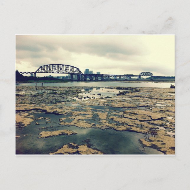 Falls of the Ohio Fossil Beds at Dusk Postcard (Front)