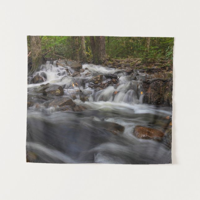 Falls on Sand Spring Run Tapestry (Front (Horizontal))