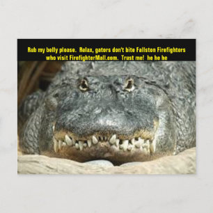 Fallston Firefighter Postcard