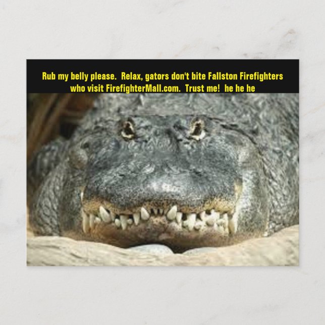 Fallston Firefighter Postcard (Front)