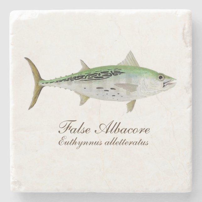 False Albacore Coaster (Front)