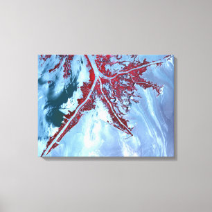 False colour satellite canvas print