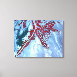 False colour satellite canvas print