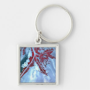 False colour satellite key ring