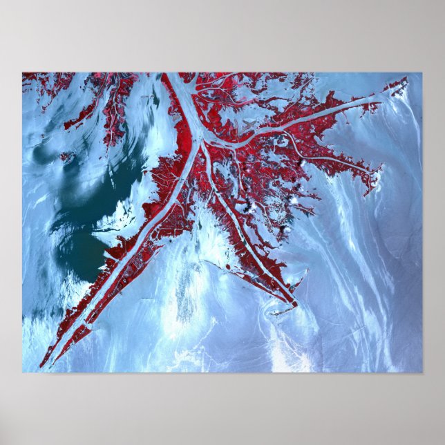 False colour satellite poster (Front)