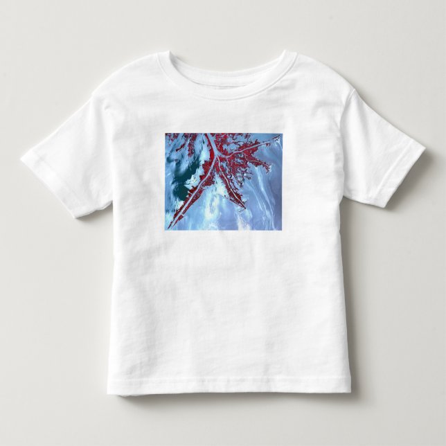 False colour satellite toddler T-Shirt (Front)