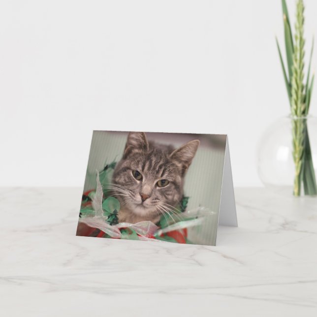 FAMD Christmas Cat Thank You Card (Front)
