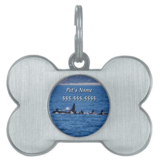 Families Stick Together Pet Tag (Front)