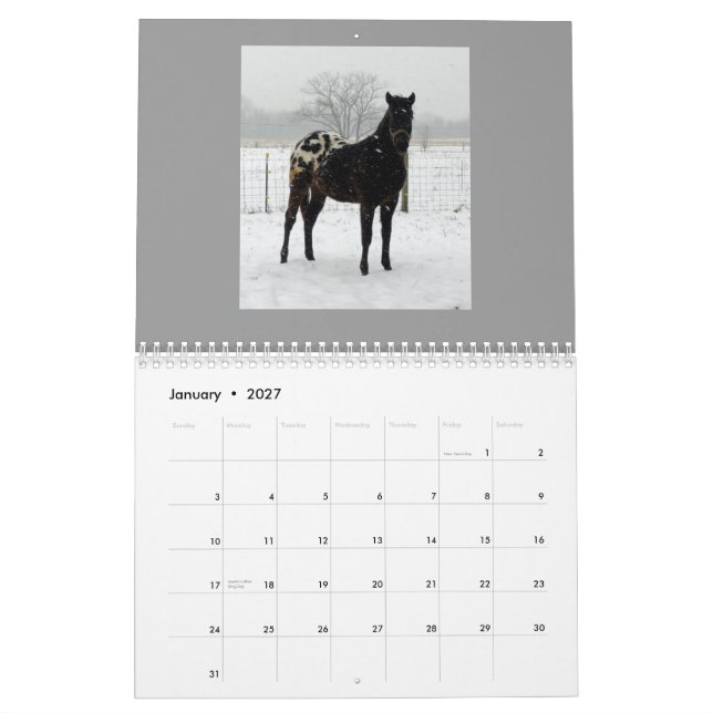 Family Appaloosas 2011 Calendar (Jan 2027)