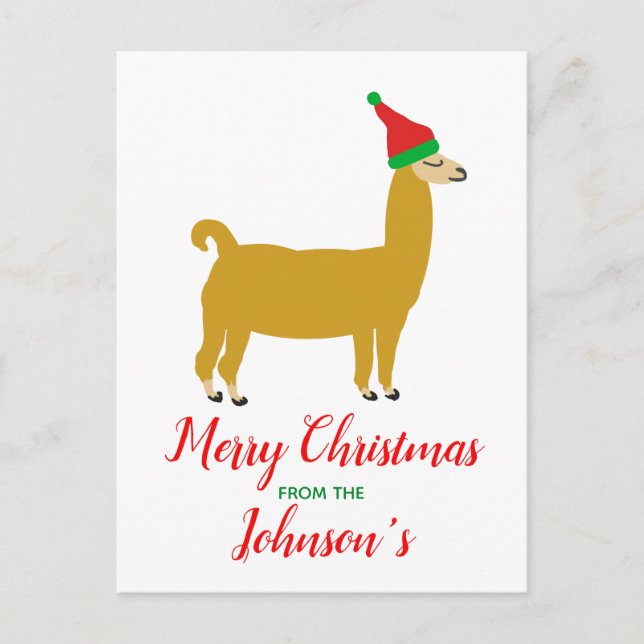 Family Christmas Llama Postcard (Front)