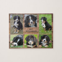 Family collage 6 photos dog and family name