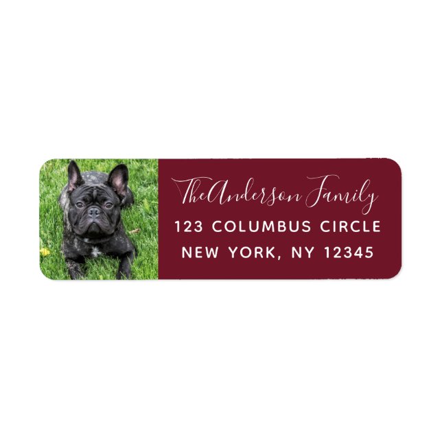 Family Dog Photo Red Custom Return Address (Front)