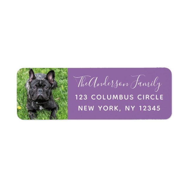 Family Dog Photo  Script Purple Return Address  (Front)