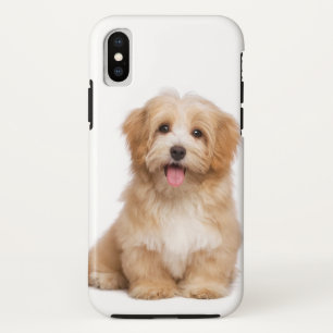 Family Dog Your Pet Photo iPhone X Case