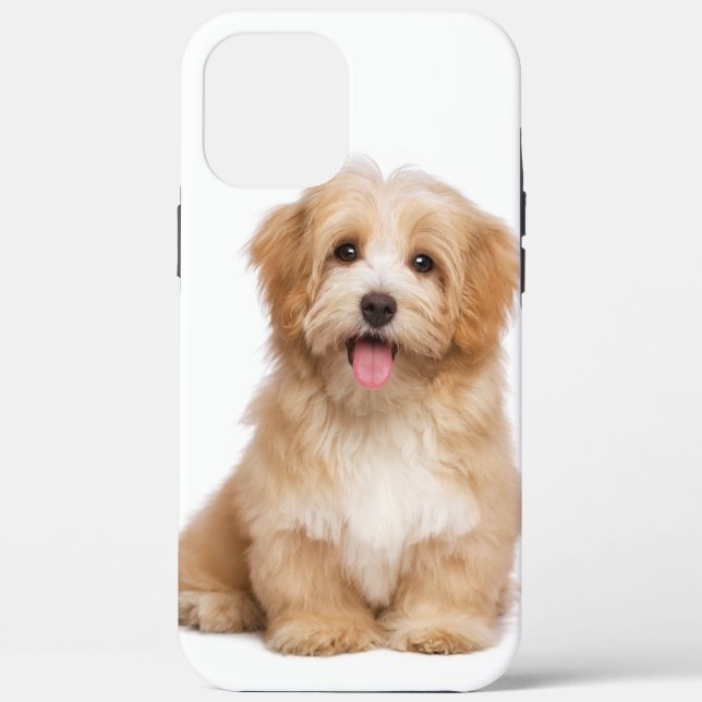 Family Dog Your Pet Photo Case-Mate iPhone Case (Back)