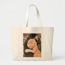Family Is Everything, Kitten Tote Bag