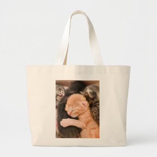 Family Is Everything, Kitten Tote Bag