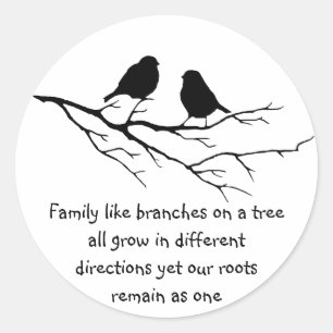Family like branches on a tree Saying with Birds Classic Round Sticker