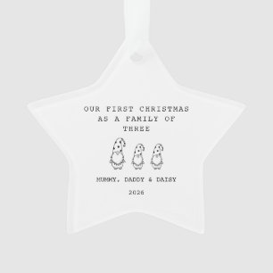 Family Of 3 Christmas Gonk Star Ornament