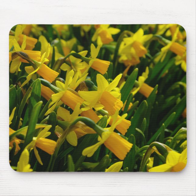 Family Of Daffodils Mouse Mat (Front)