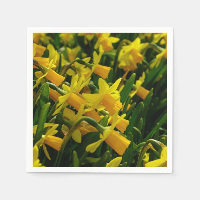 Family Of Daffodils Napkin (Front)