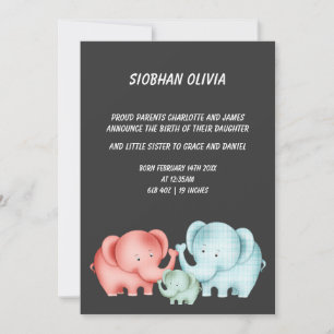 Family Of Elephants Mum Dad And Baby Announcement