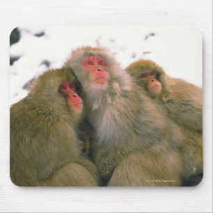 Family of Japanese macaque, Jigokudani, Mouse Mat