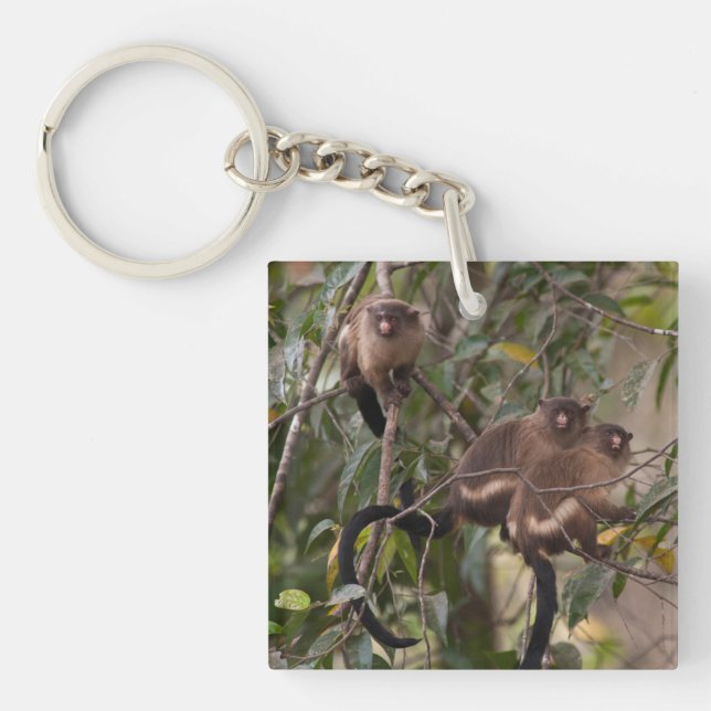 Family of Marmoset Monkeys Key Ring (Front)