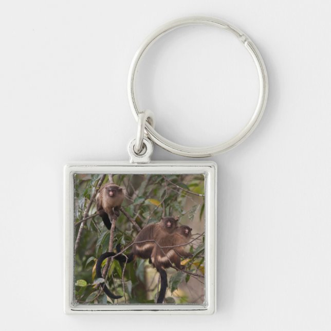Family of Marmoset Monkeys Key Ring (Front)